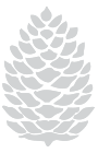 pinecone-logo-light-gray