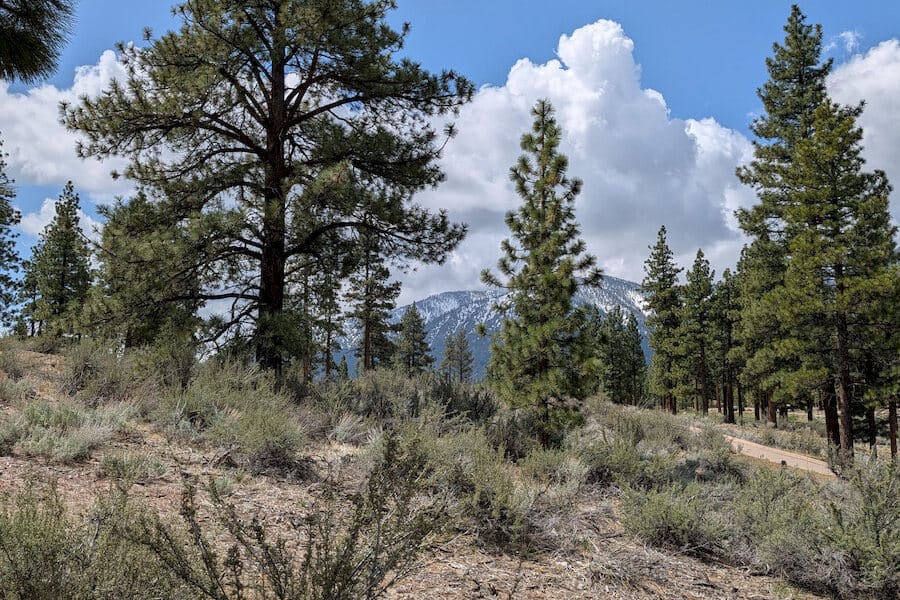 cct_homesite_401-3