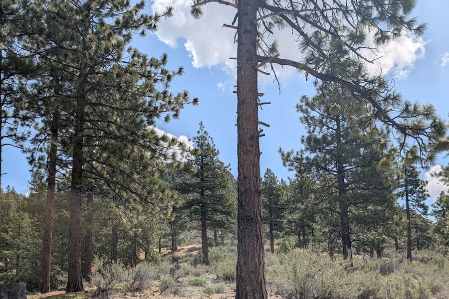 cct_homesite_402-2