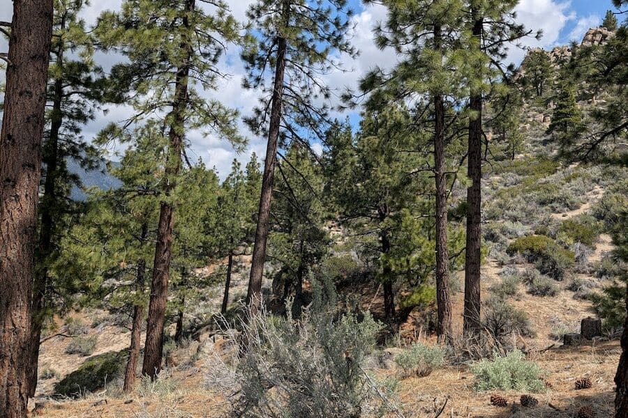 cct_homesite_402-3