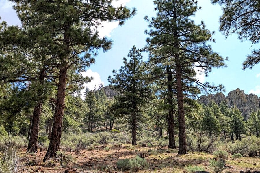 cct_homesite_403-2_post