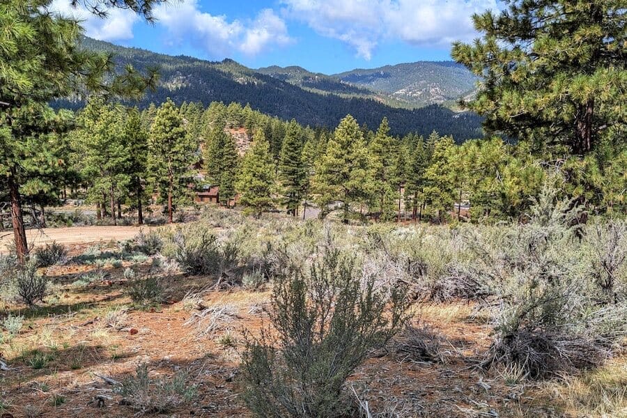 cct_homesite_403-3_post