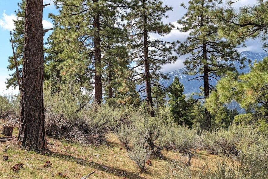 cct_homesite_403-4_post