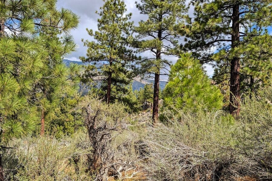 cct_homesite_403-5_post