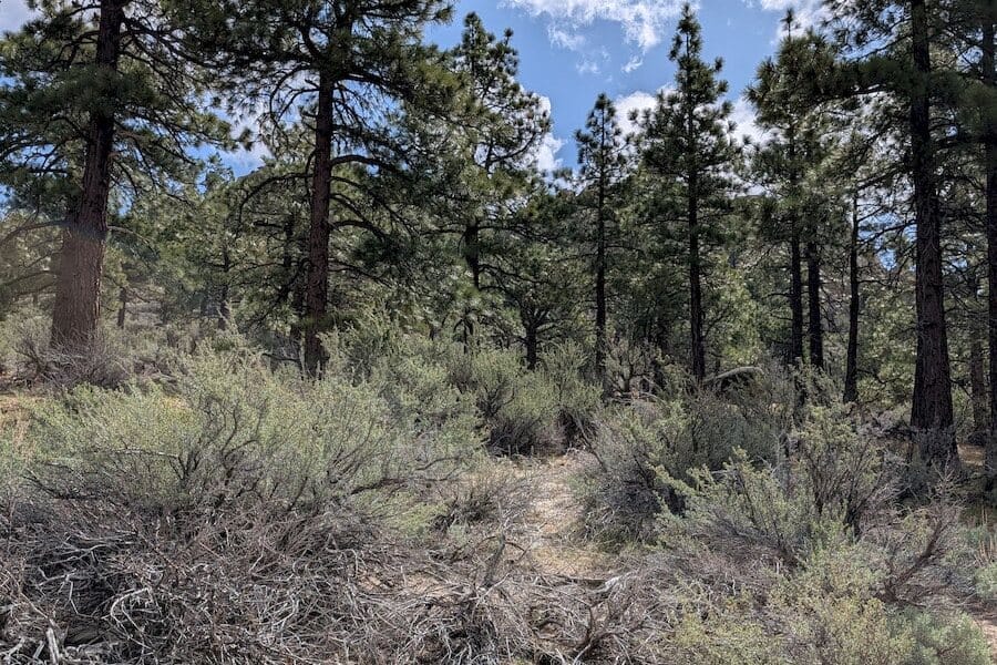 cct_homesite_404-2