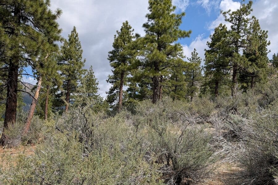 cct_homesite_404-3