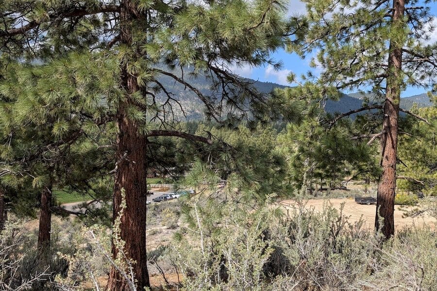 cct_homesite_404-4