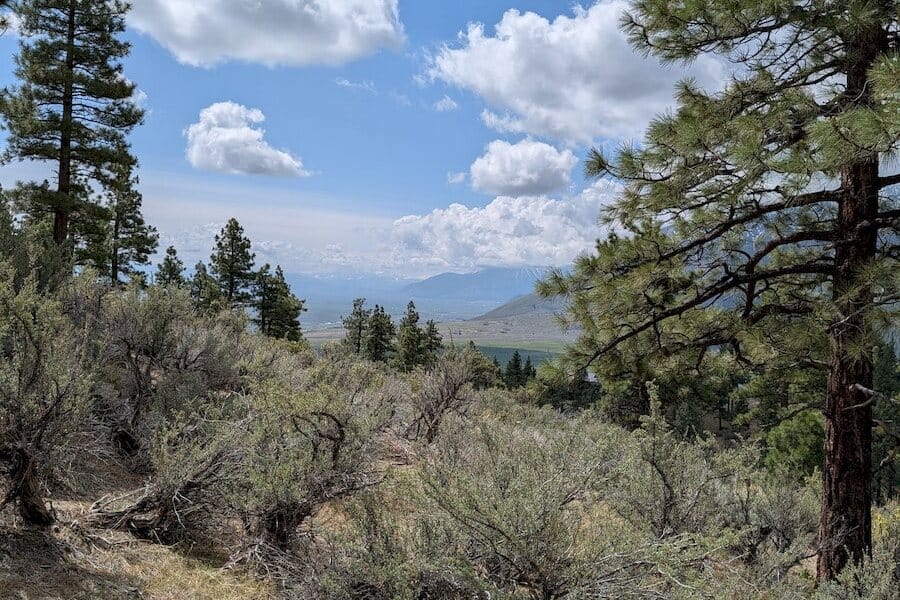 cct_homesite_404-5