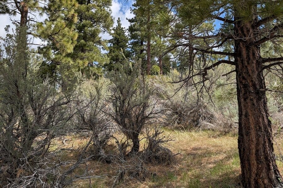 cct_homesite_405-3