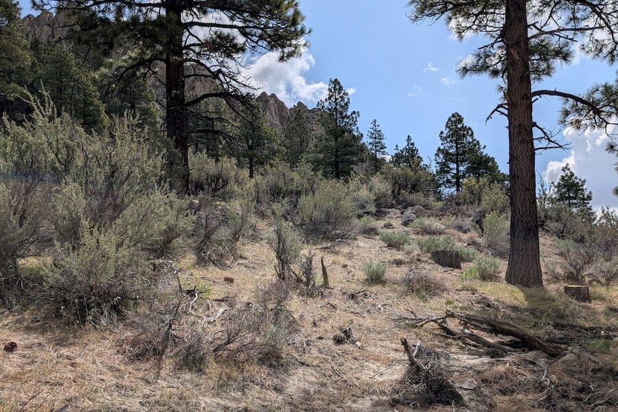cct_homesite_405-4