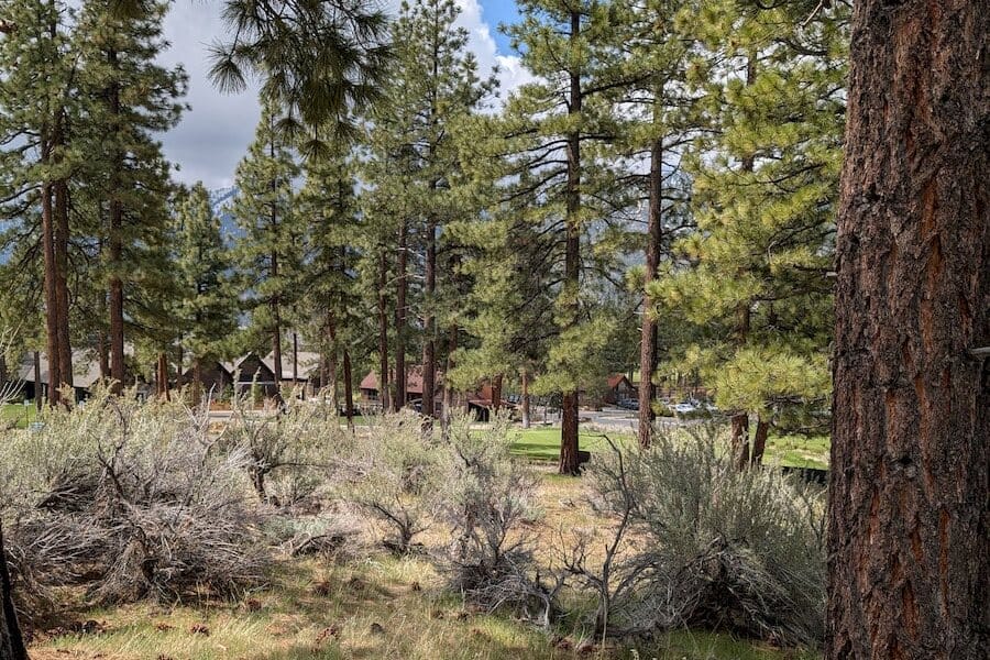 cct_homesite_406-2_post