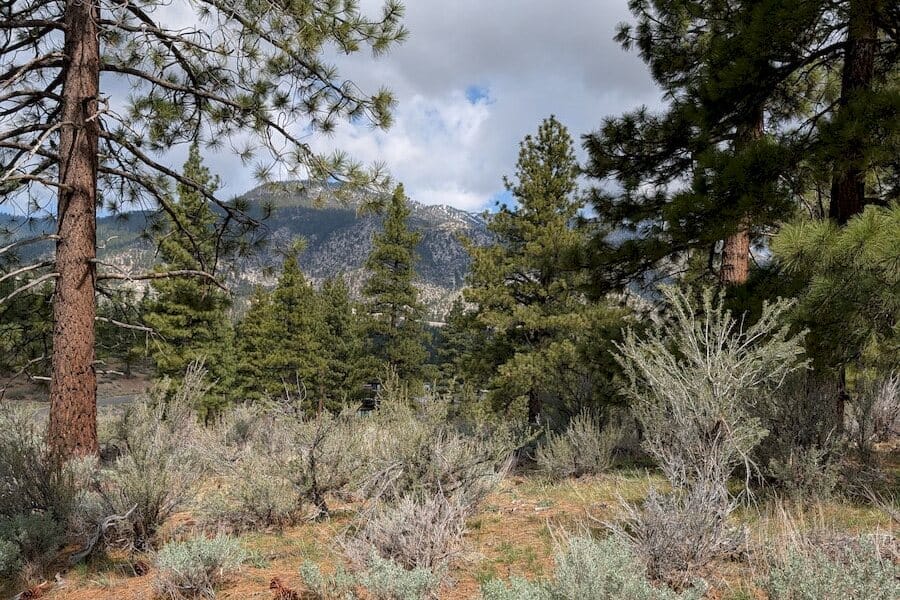 cct_homesite_406-3