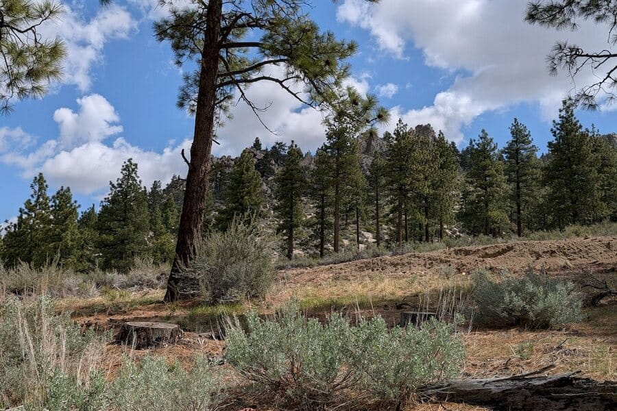 cct_homesite_406-4