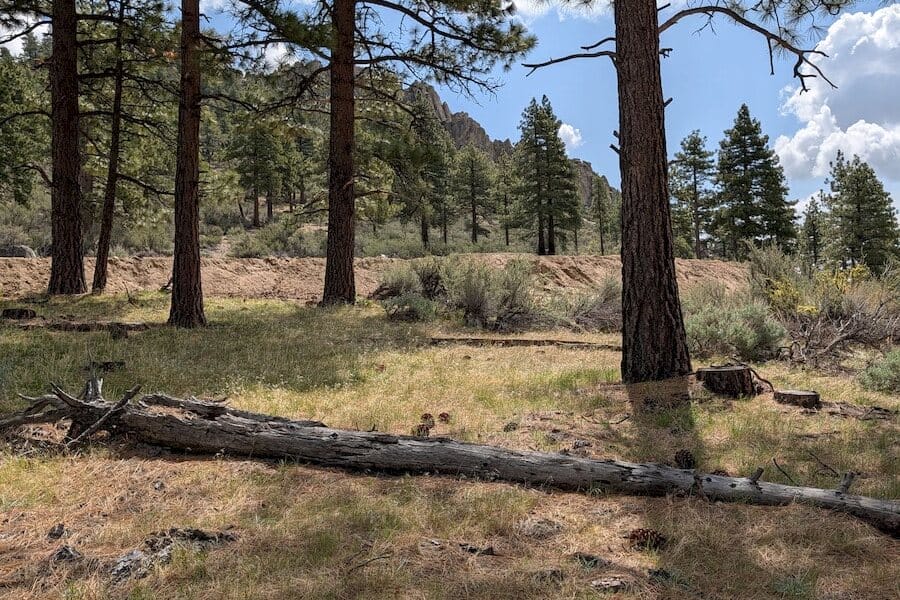 cct_homesite_406-5_post